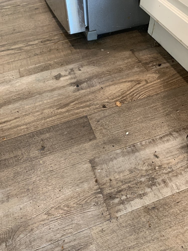 Photo of East County Cleaning Services
