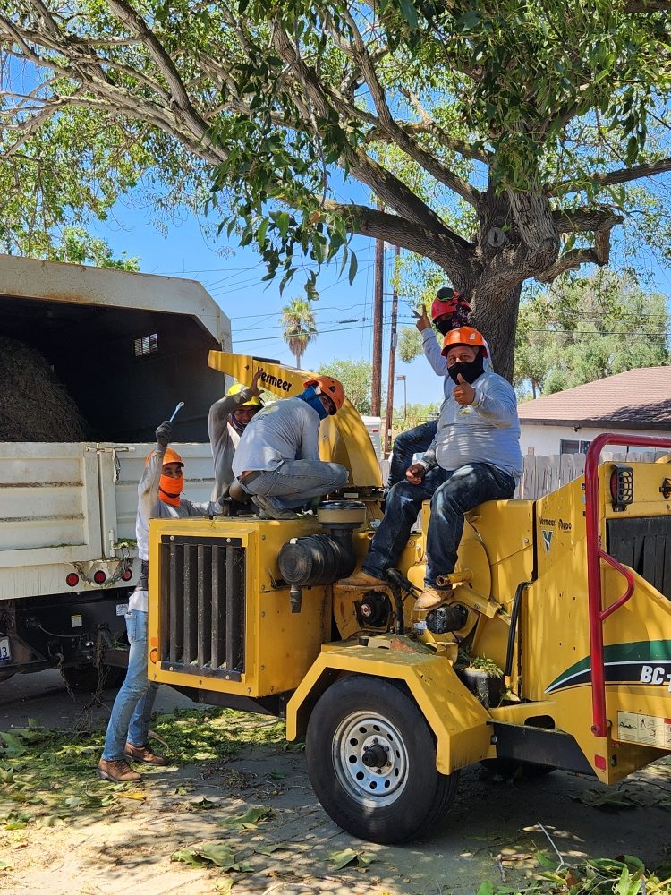 Photo of F & S Tree Service & Landscaping