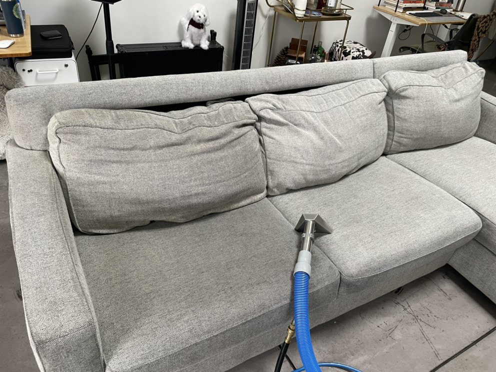 Photo of New Life Carpet Cleaning
