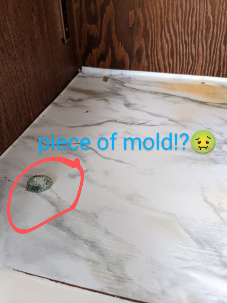 Photo of JJ's cleaning