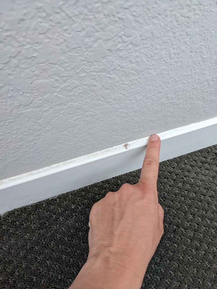 Photo of JJ's cleaning