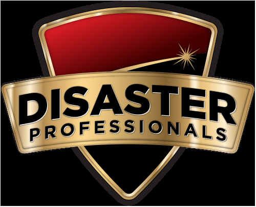 Photo of Disaster Professionals