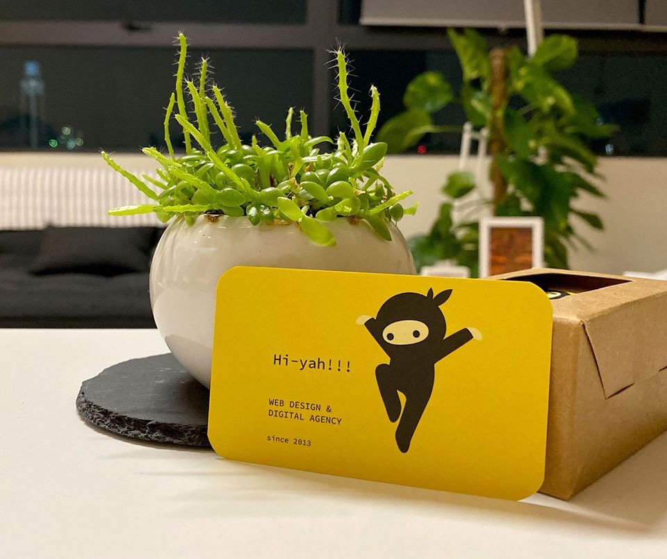 Photo of Web Ninja Studio