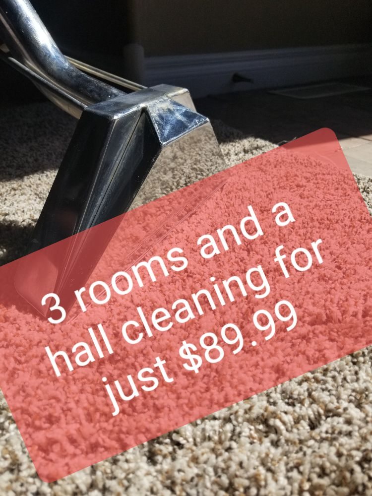 Photo of Taylormaid carpet cleaning