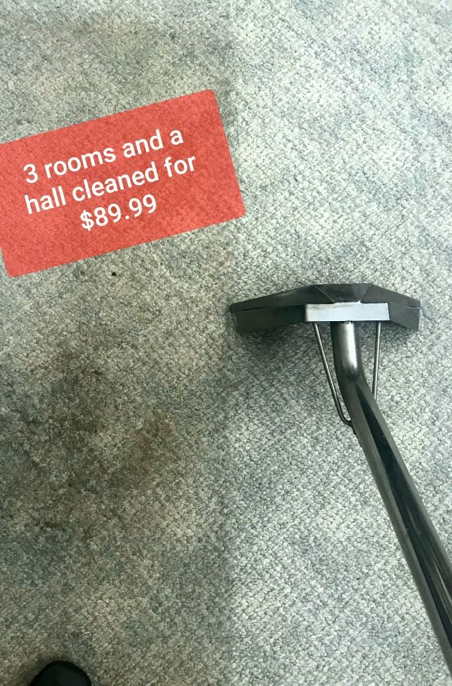 Photo of Taylormaid carpet cleaning