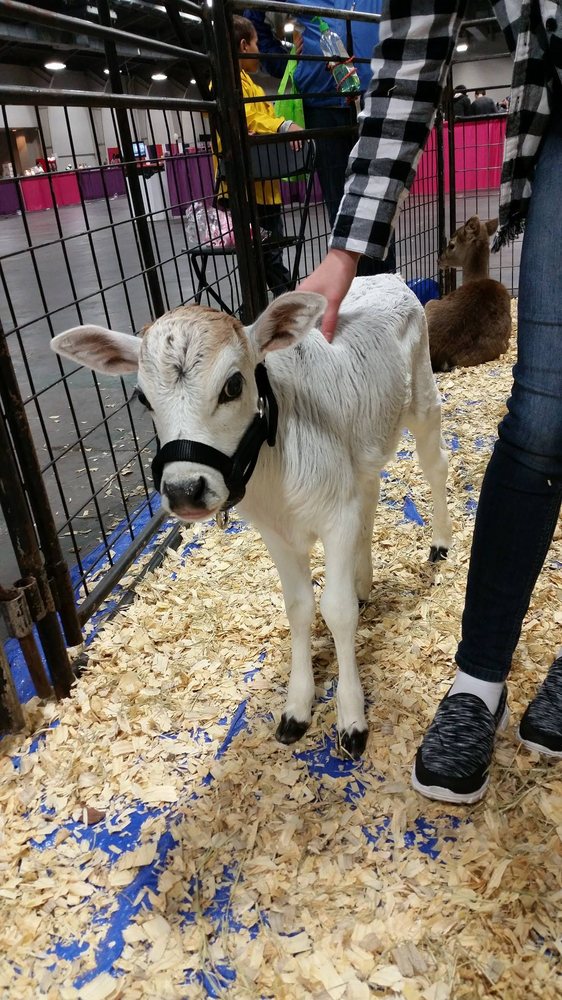 Photo of Austin Petting Zoos and Aquariums