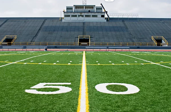 Photo of Scottsdale Turf Clean