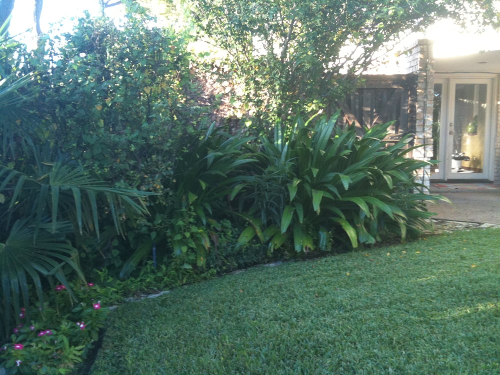 Photo of London Lawns & Landscaping