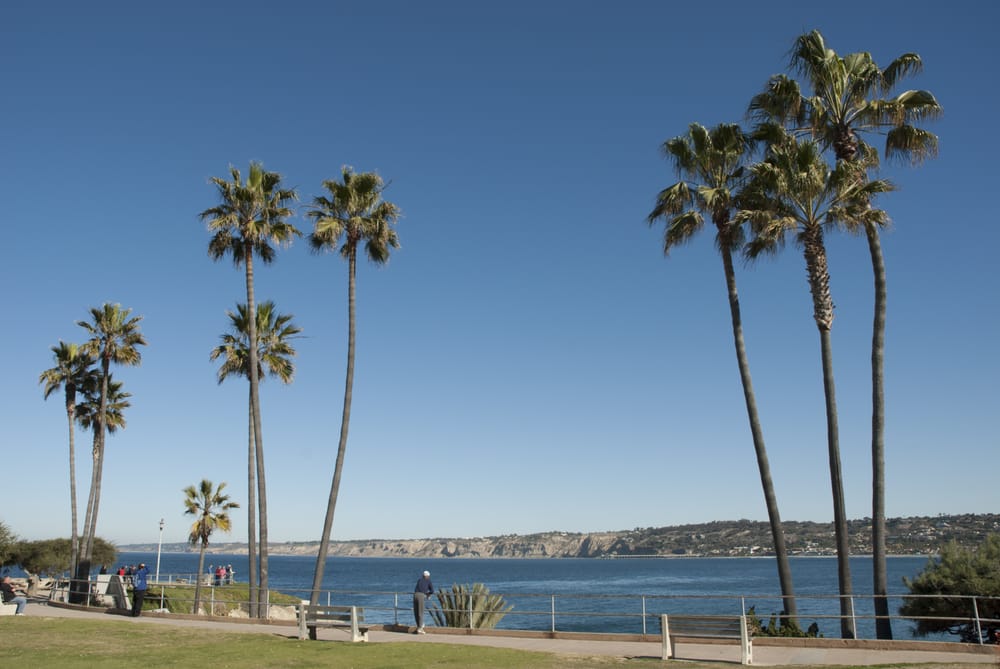 Photo of SD Rentals