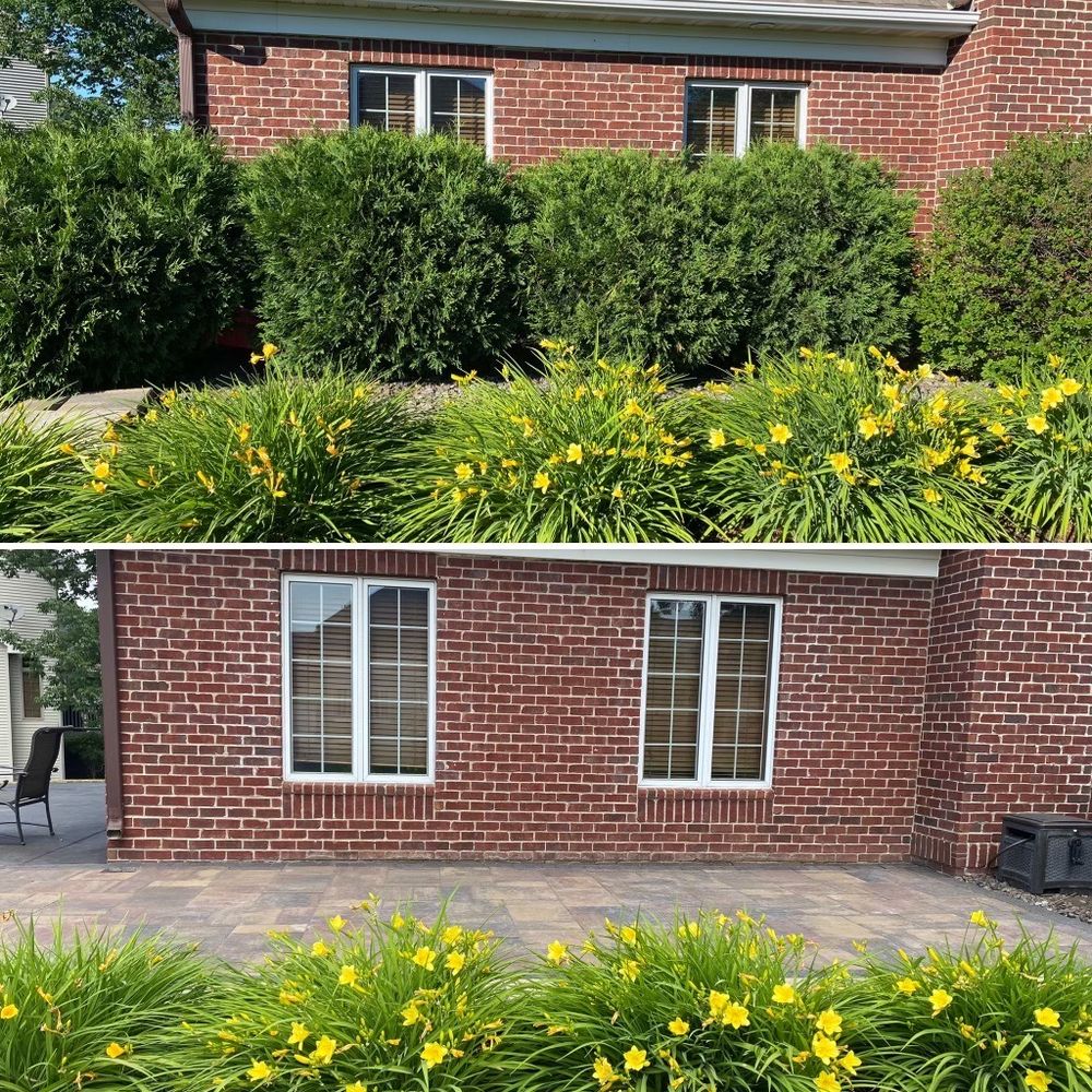 Photo of Cayering lawn services
