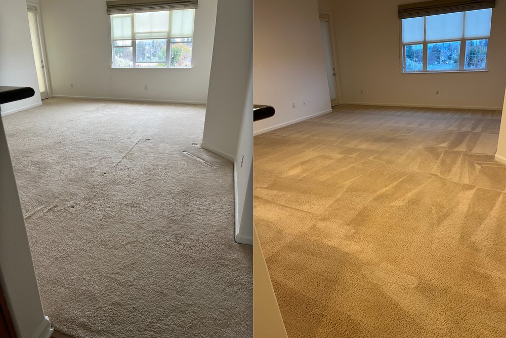 Photo of Dynamic Carpet Cleaning & Restoration