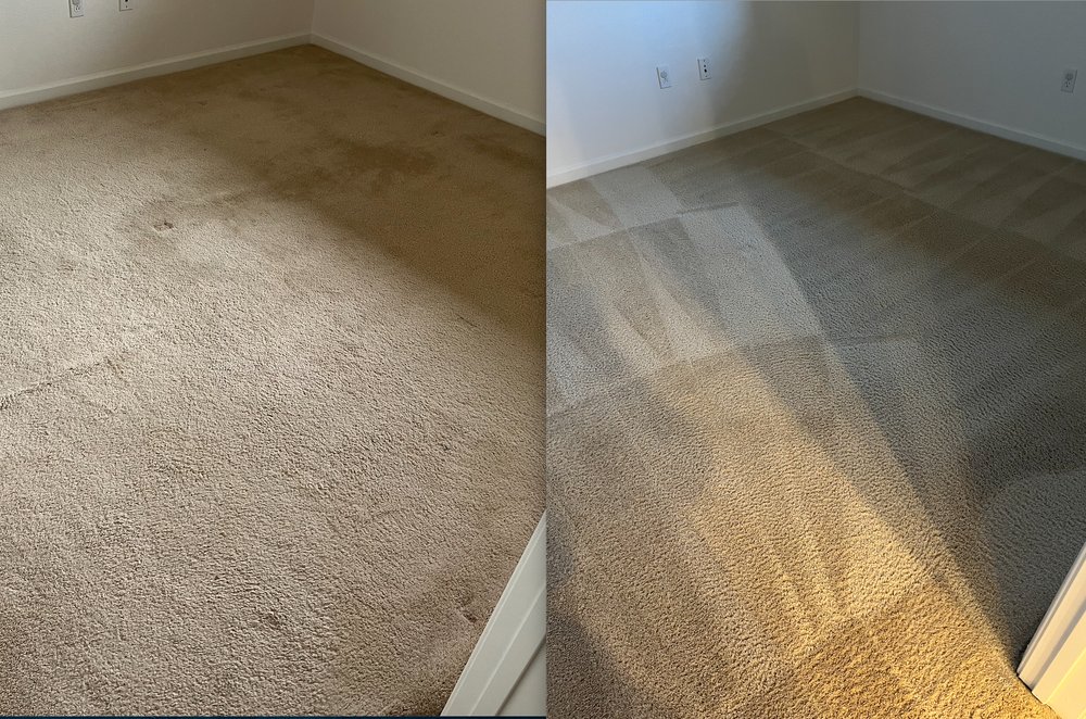 Photo of Dynamic Carpet Cleaning & Restoration