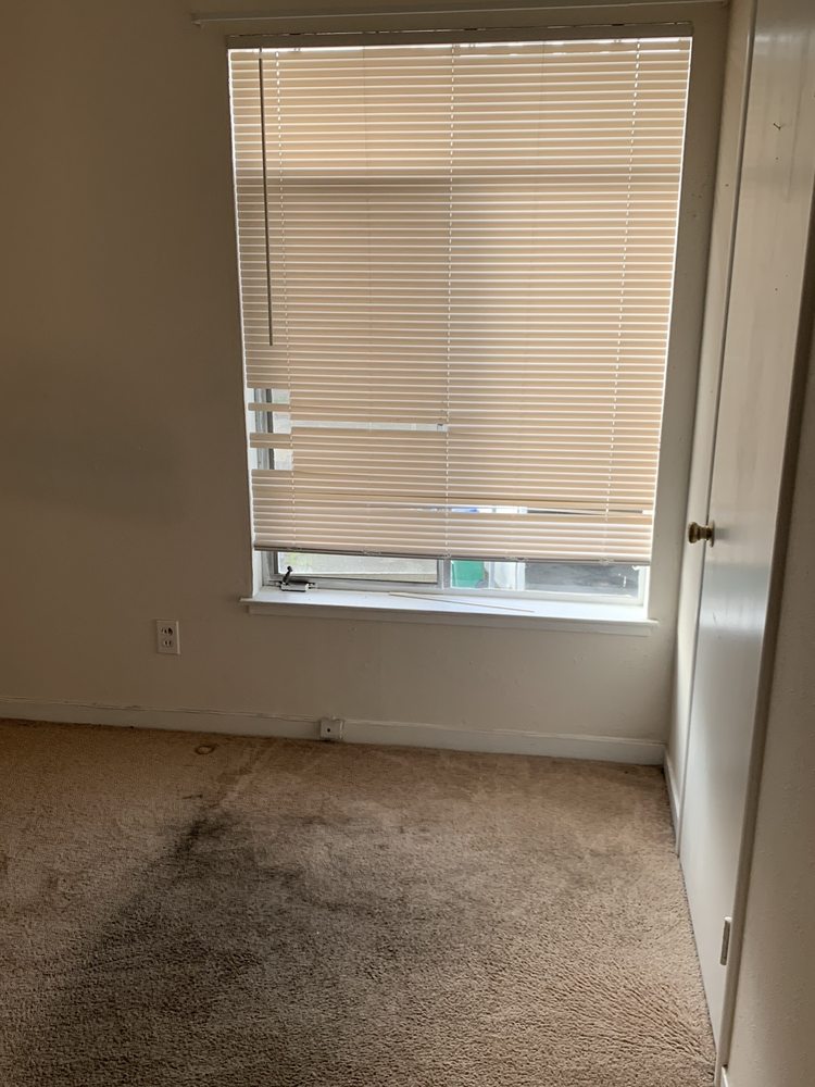 Photo of Dynamic Carpet Cleaning & Restoration