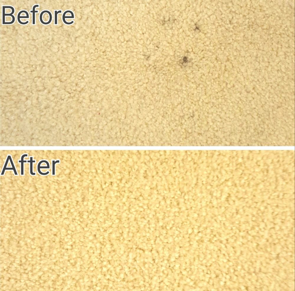 Photo of Ouska's Carpet Cleaning