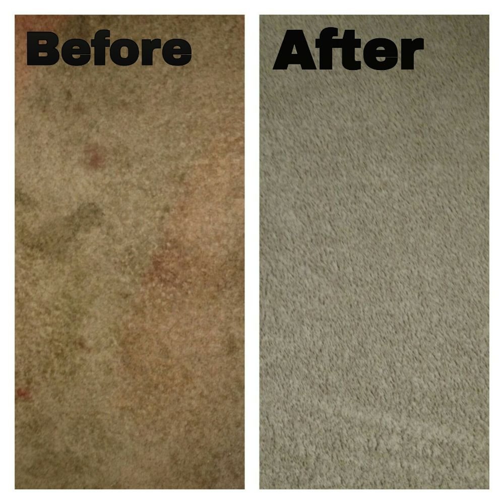 Photo of Ouska's Carpet Cleaning