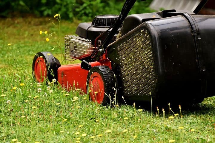 Photo of Wilson's Extra Landscaping