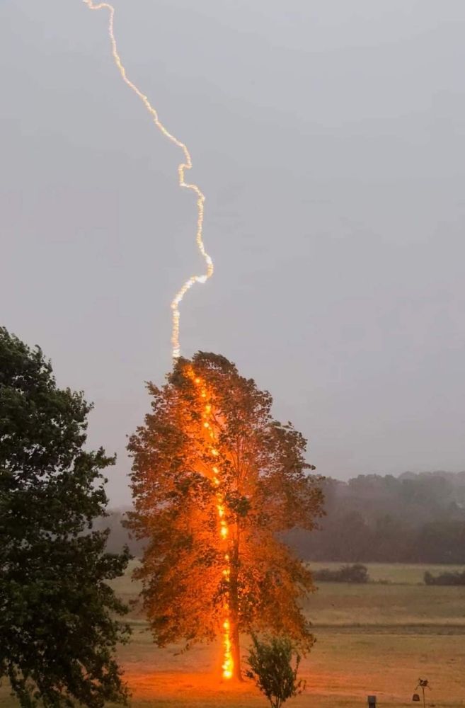 Photo of York Electric