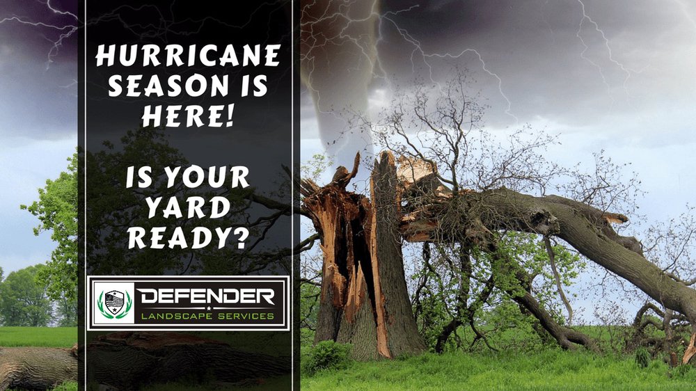 Photo of Defender Landscape Services