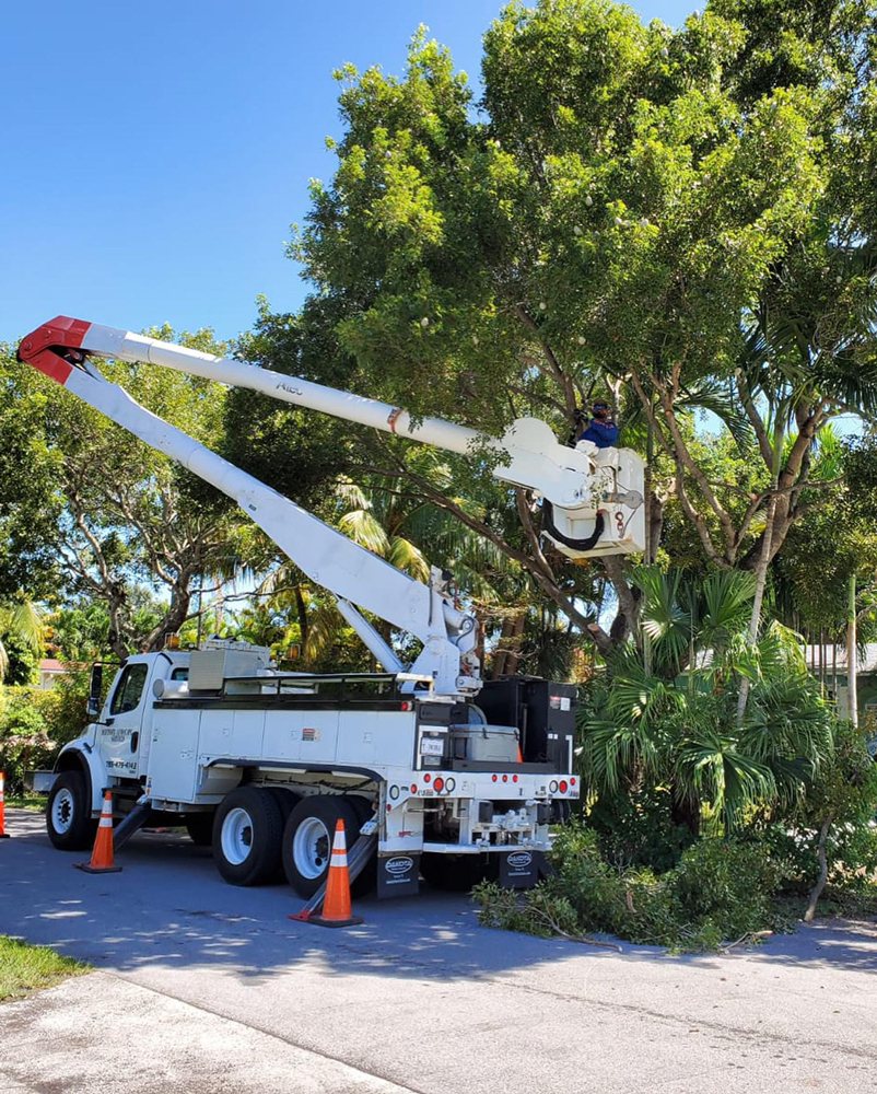 Photo of Defender Landscape Services