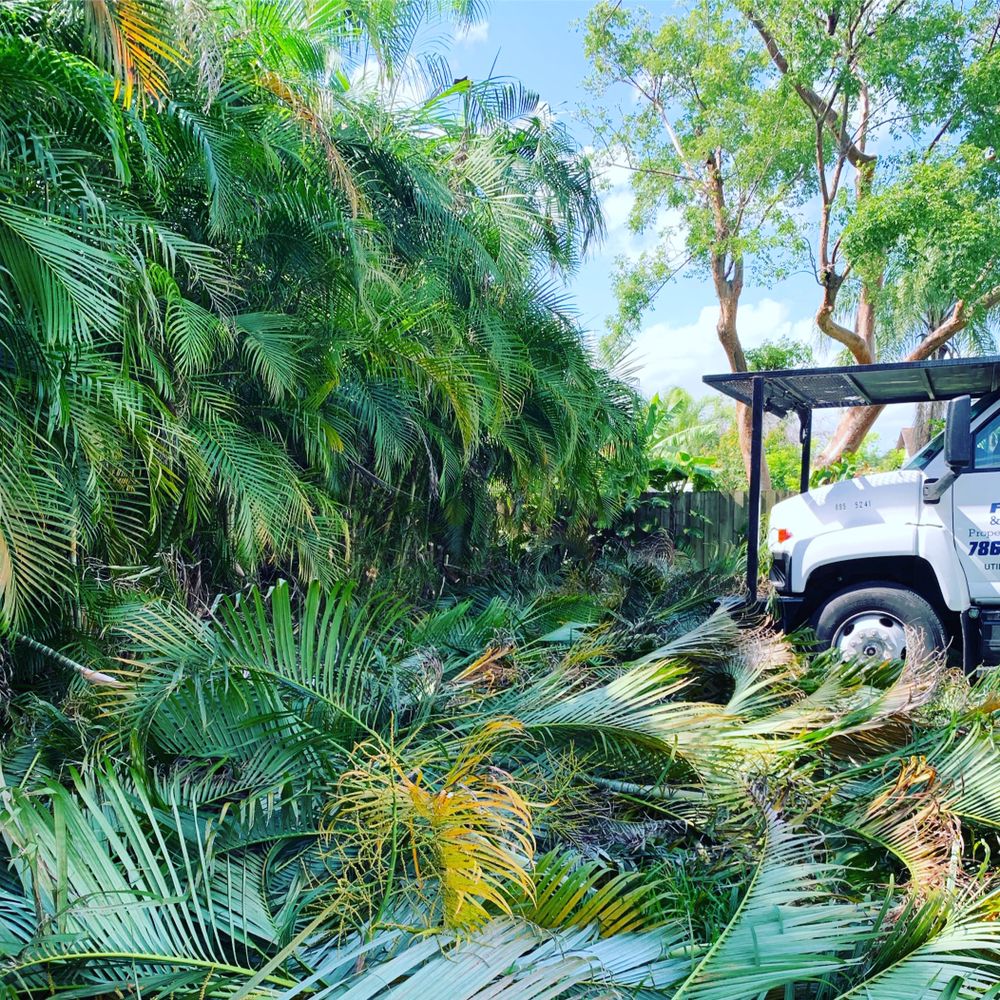Photo of Defender Landscape Services