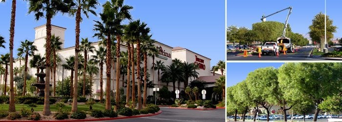 Photo of Sunstate Companies