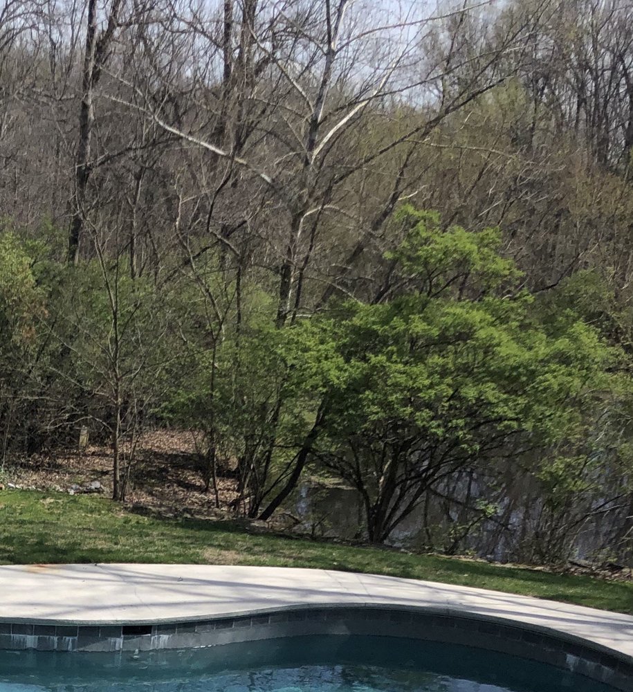 Photo of Scearce Lawncare