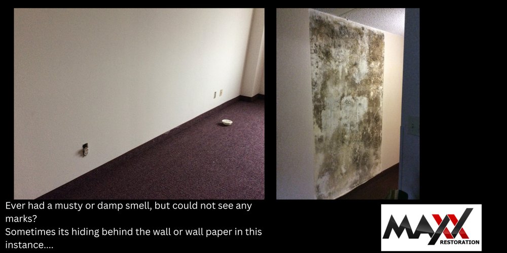 Photo of Maxx Restoration
