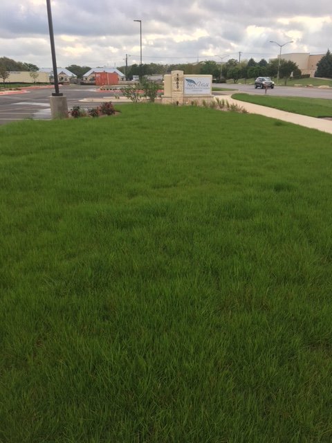 Photo of 4 Seasons Landscape