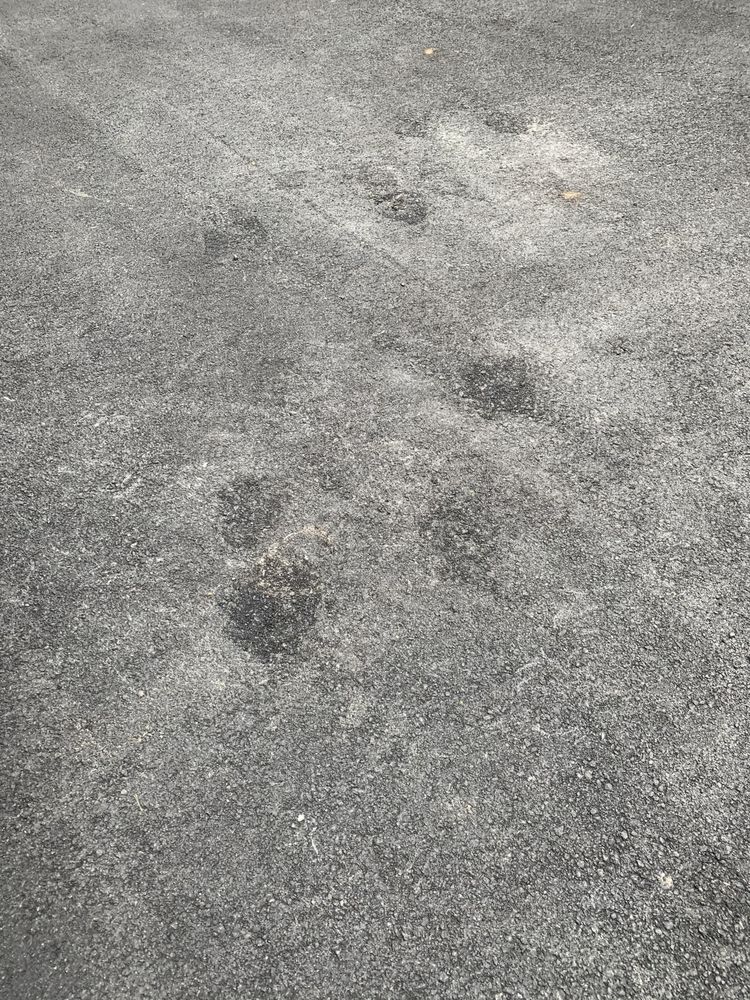 Photo of A-Pak Paving