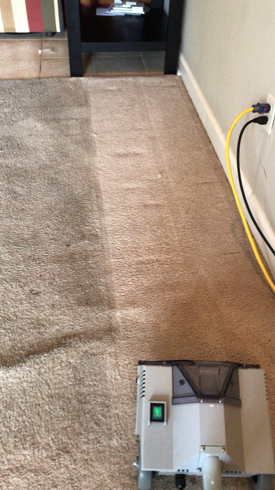 Photo of Lj's Pro Cleaning Services
