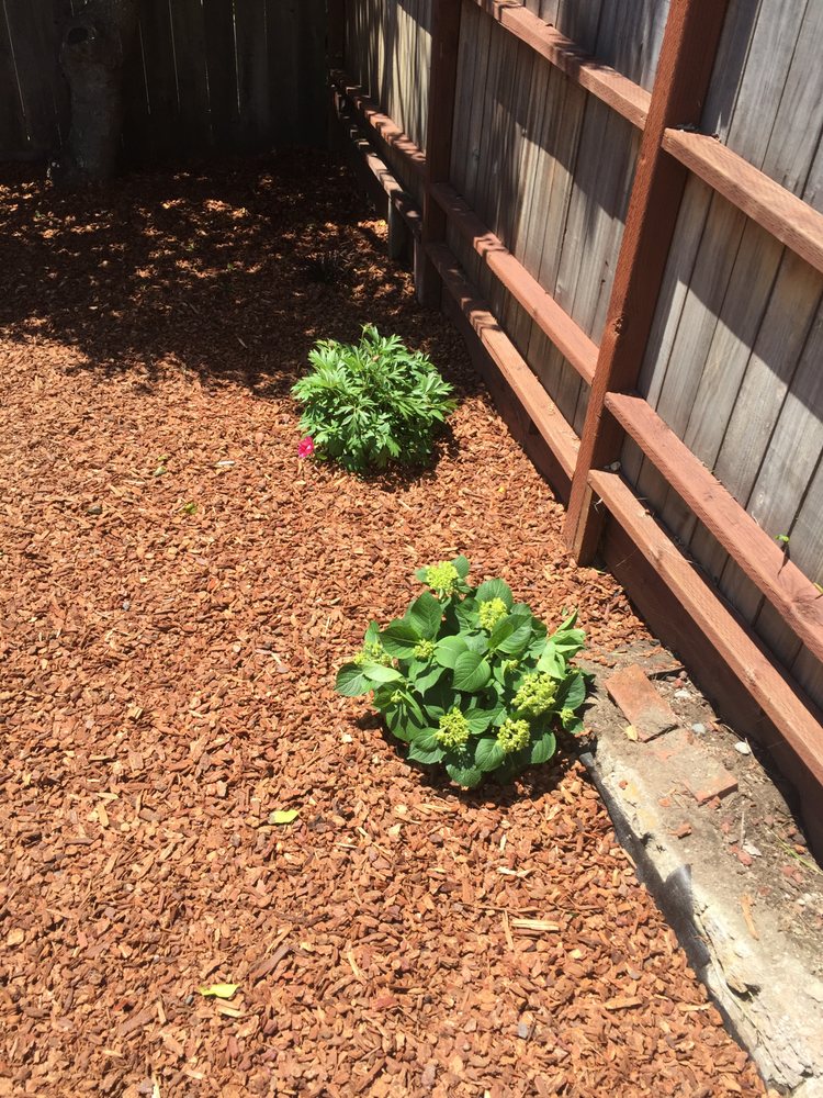 Photo of Yardwork Landscaping