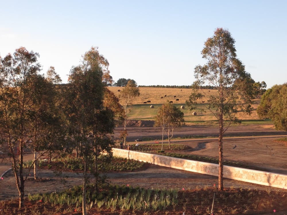 Photo of Stephen Billings Landscape Architecture
