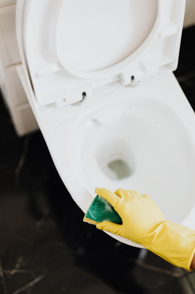 Photo of Ceazar's Home Cleaners