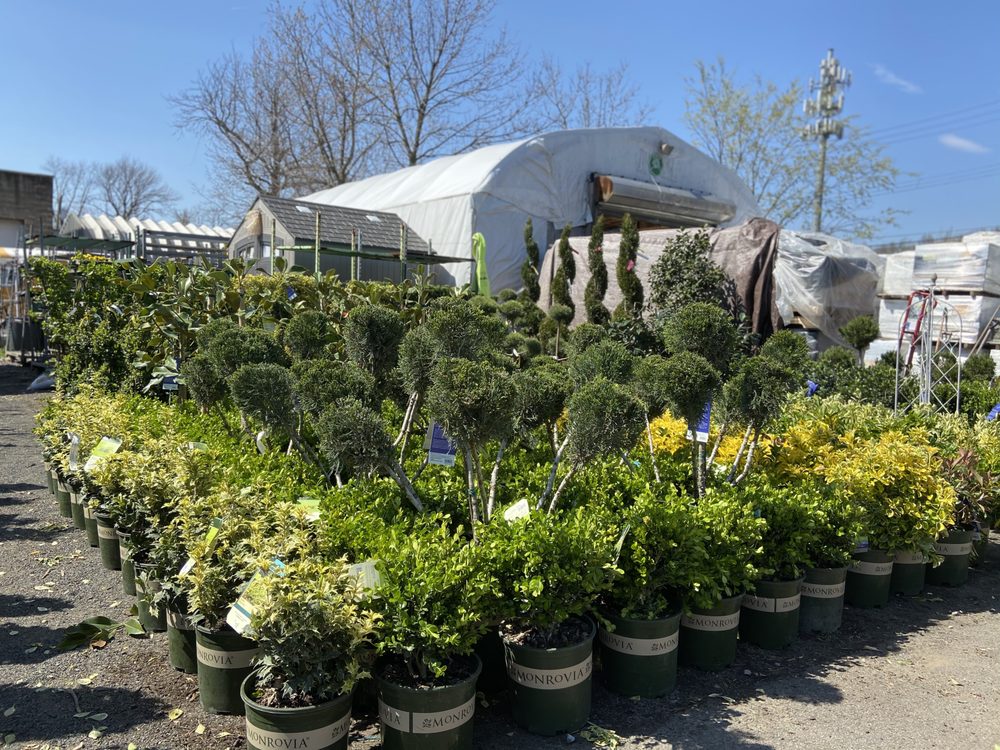 Photo of Sweetbrook Nursery & Garden Center