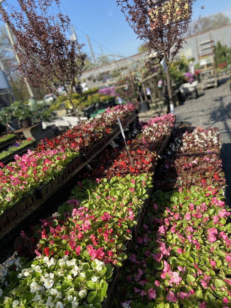 Photo of Sweetbrook Nursery & Garden Center