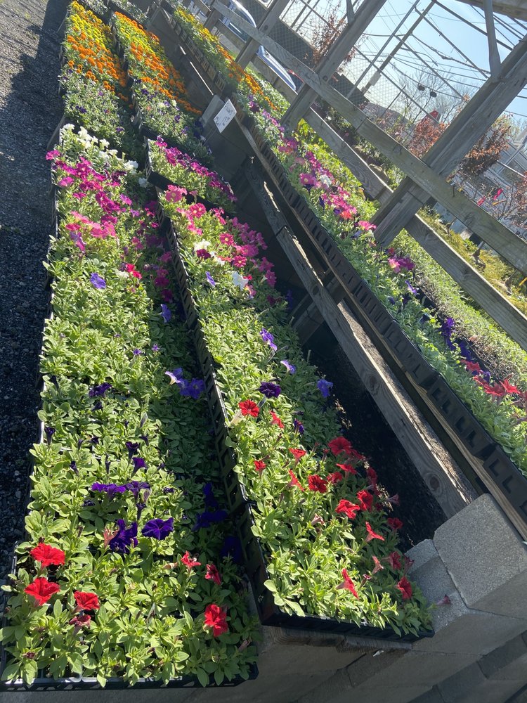 Photo of Sweetbrook Nursery & Garden Center