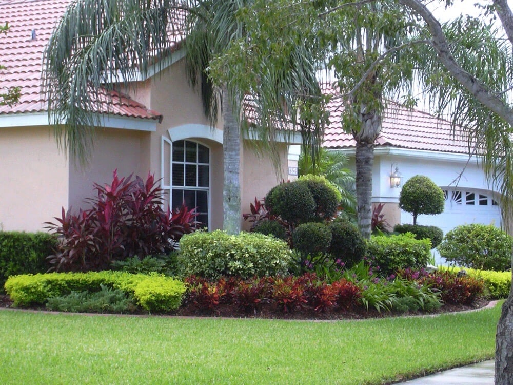 Photo of Broward Services