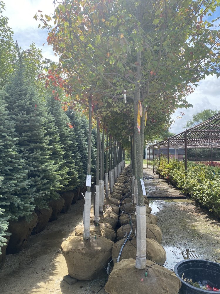 Photo of A. Brown & Son's Nursery