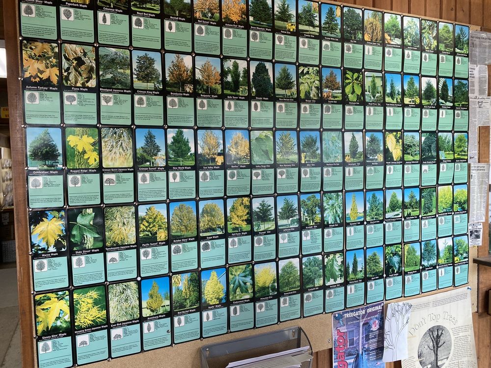 Photo of A. Brown & Son's Nursery