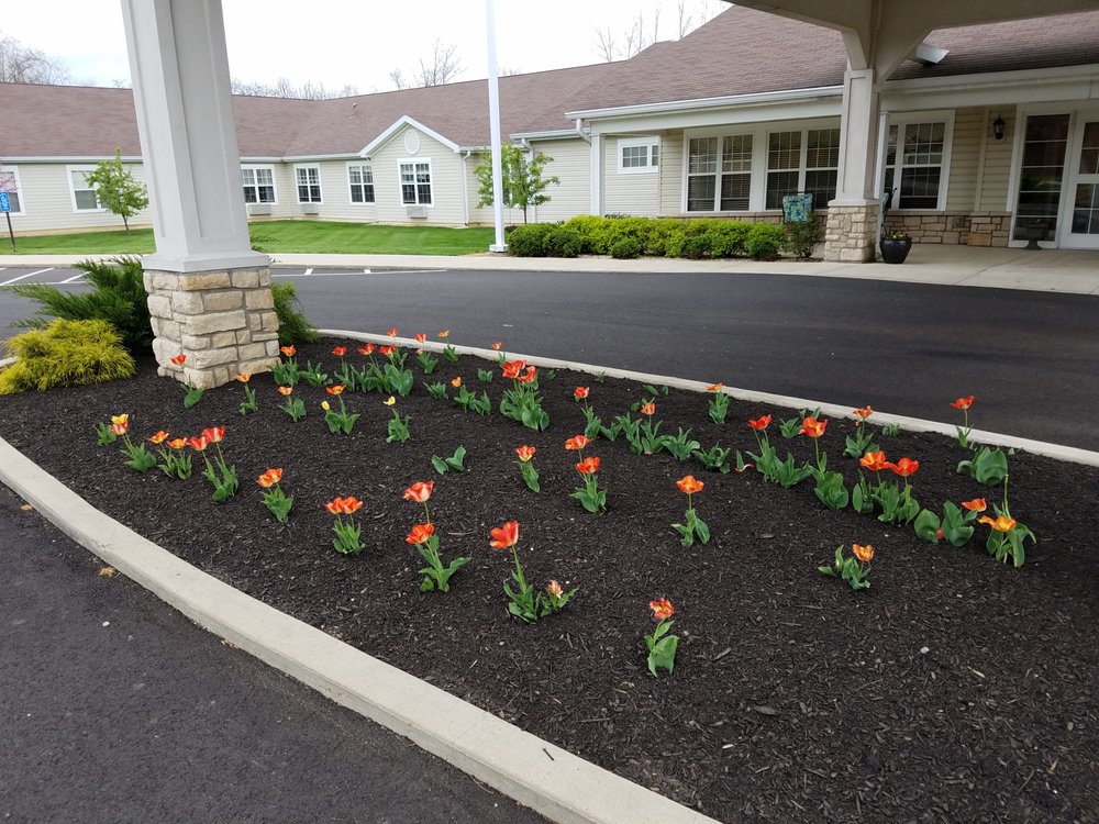Photo of Nessley's Lawn Care