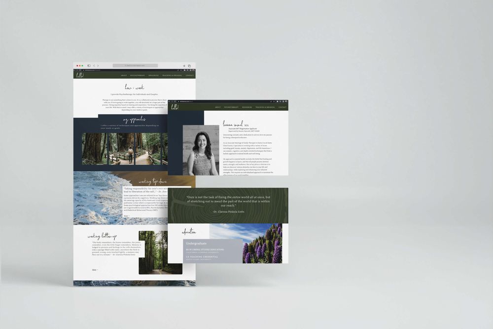 Photo of Mayne Web & Design