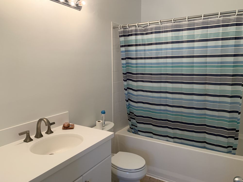 Photo of Palmetto Quality Painting Service