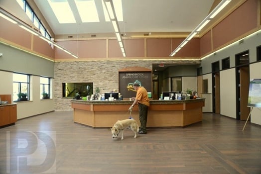 Photo of Interior Planning & Design