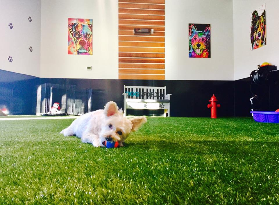 Photo of Foreverlawn Bellevue