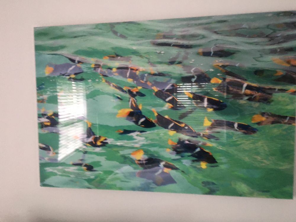 Photo of Tropicolor Big Ass Prints