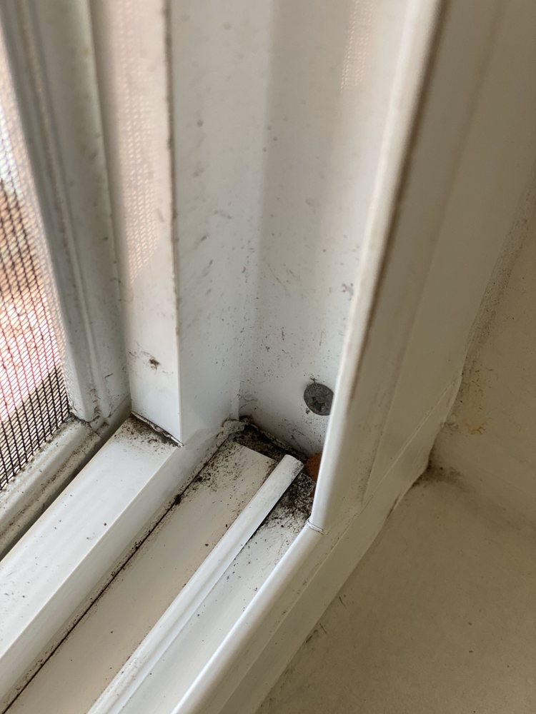Photo of San Diego Expert House Cleaning