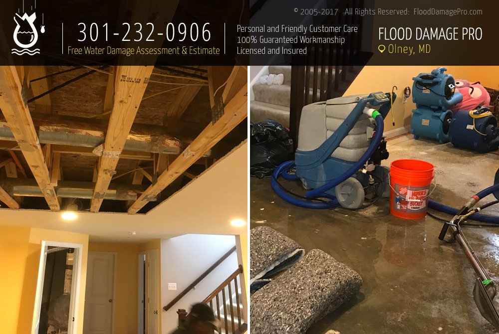 Photo of Flood Damage Pro