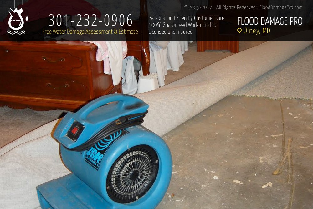 Photo of Flood Damage Pro
