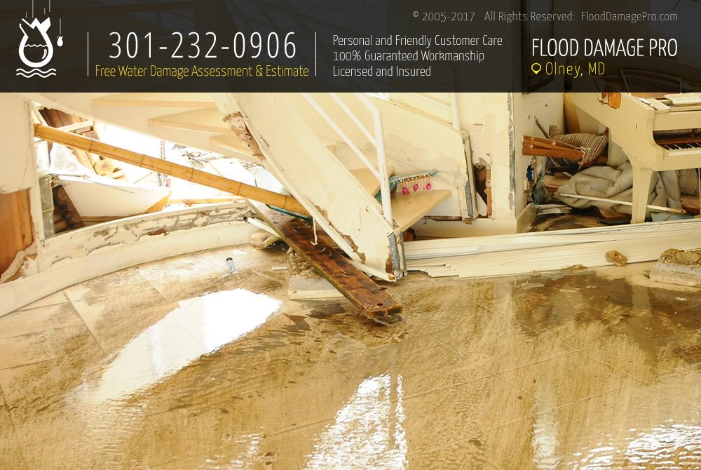 Photo of Flood Damage Pro