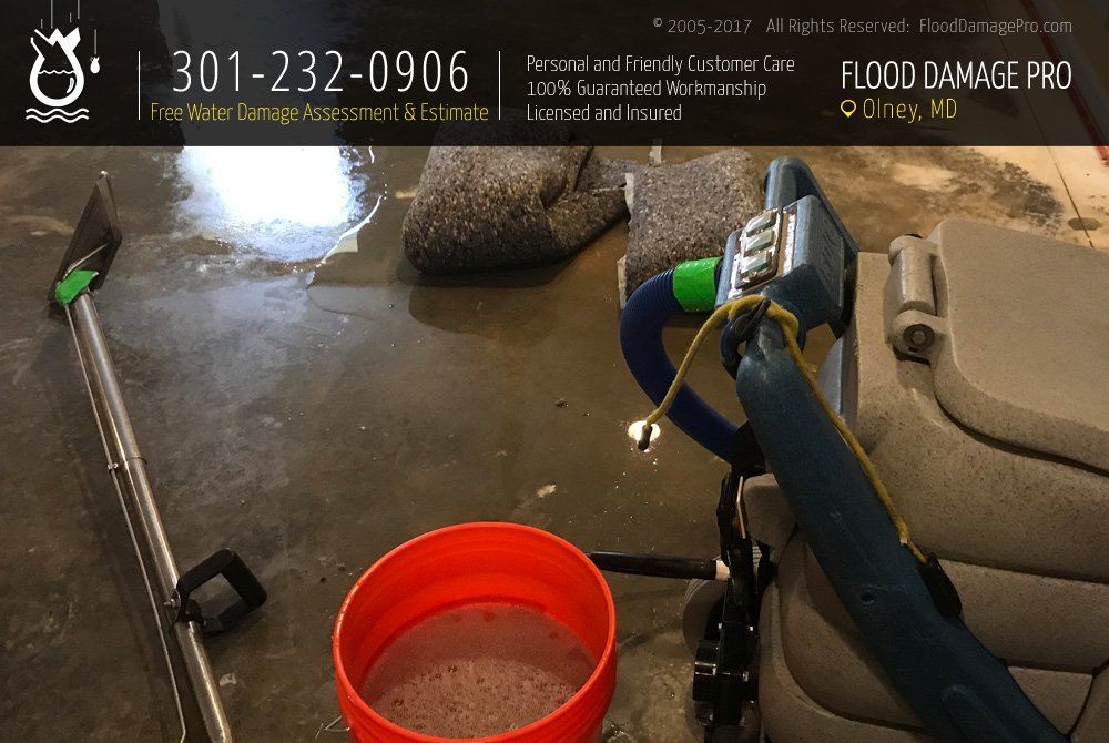 Photo of Flood Damage Pro